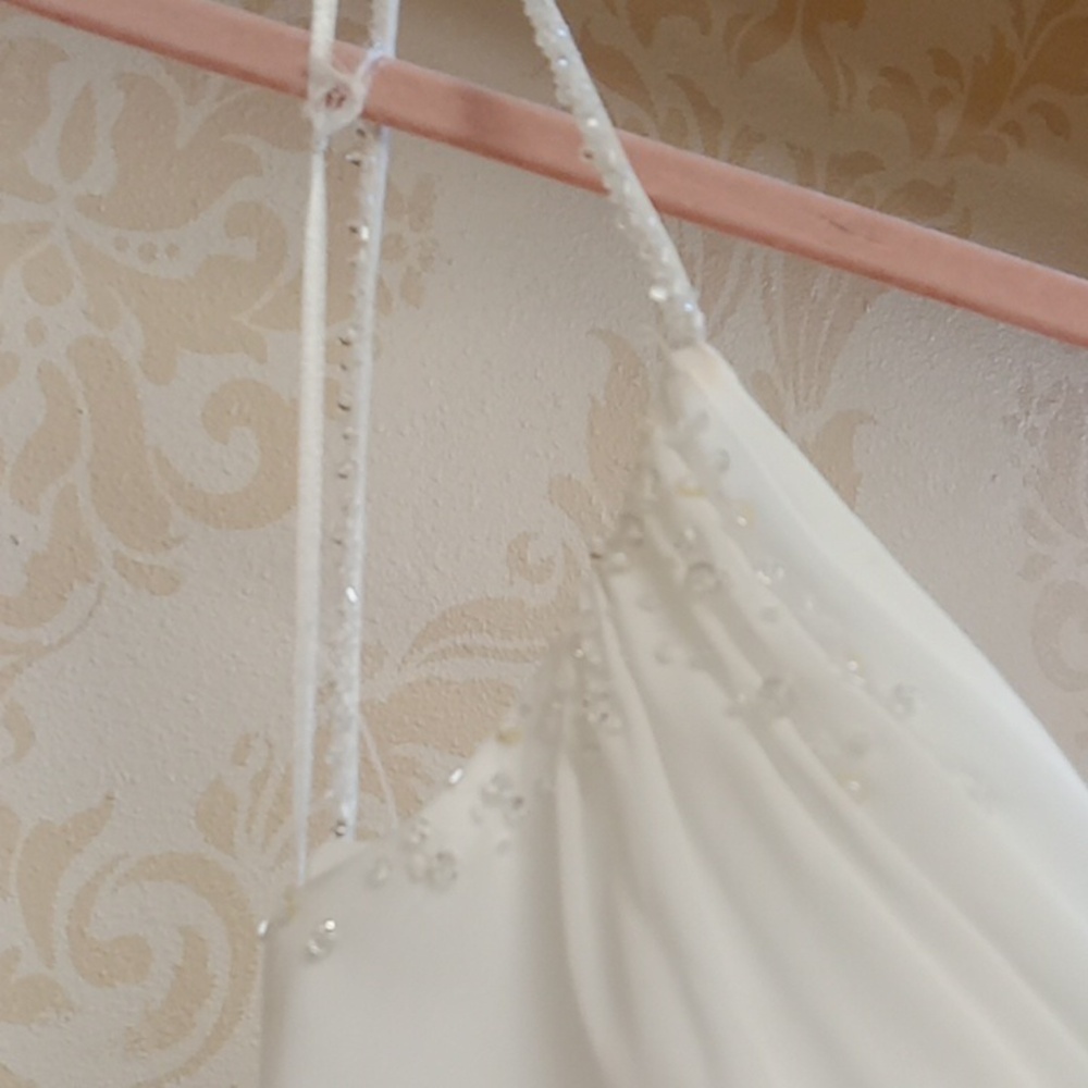 Maggie Sottero size 4 destination wedding gown - Picture 4 of 9